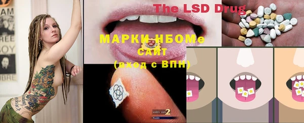 мдпв Верхний Тагил
