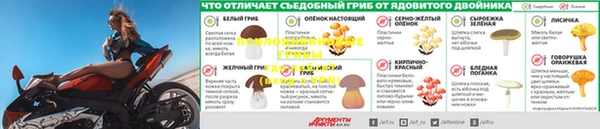 ешки Верея